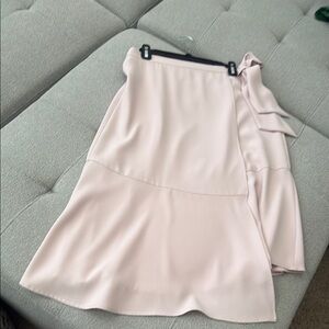 Elegant Pink Women's Skirt